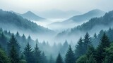 Mystical, misty forest landscape with coniferous trees, foggy morning in a mountain valley. Green nature background.