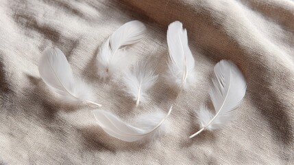 Aufkleber - Delicate white feathers are artfully arranged against a smooth ivory fabric, showcasing subtle shadows and light variations that enhance the serene atmosphere