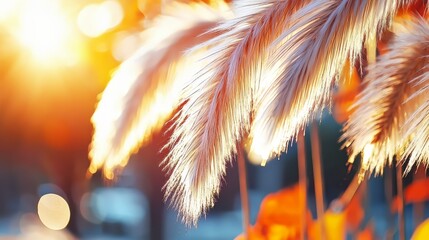Poster - Beautiful, sunlit scene with a tree branch and leaves. The leaves are dry and brown, and the sun is shining brightly on them