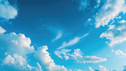 Wall Mural - clear blue sky during summer with fluffy white clouds from a bottom-up perspective, perfect for sky-
