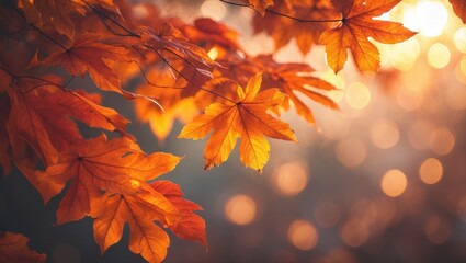 Poster - Autumn scenery showcasing vivid leaves and natural foliage.