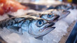© Gautier Normand - Des poissons sont soigneusement disposés sur de la glace au sein d'un marché de fruits de mer. L'atmosphère est animée, avec des clients intéressés par les produits marins frais.