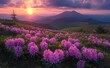 © Rahmat - Mountain Sunset Rhododendrons