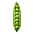 © Suritong - Green pea pod with fresh peas inside.