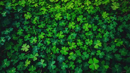 Poster - Background with shamrock pattern showing three-leaf clovers and greenery