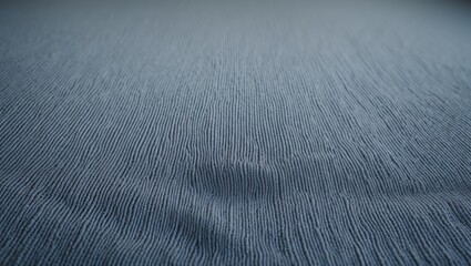 Poster - House interior featuring detailed textured carpet surface