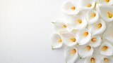 White calla lilies floral arrangement soft lighting smooth texture