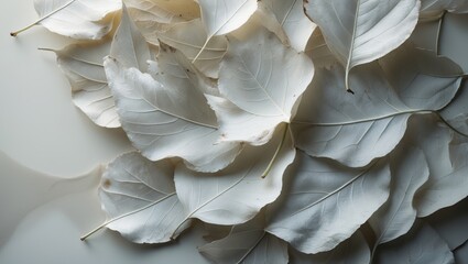 delicate white leaves showcasing autumn textures