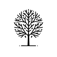 Wall Mural - elegant line art tree, botanical vector illustration