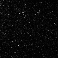 Wall Mural - dense starfield with twinkling lights in the night sky