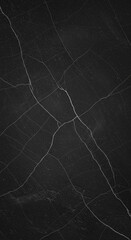 Wall Mural - dramatic starry night sky with celestial patterns and dark backdrop