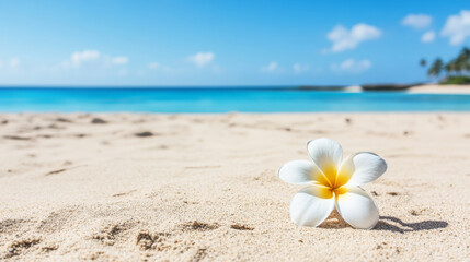 Wall Mural - beautiful white flower rests on soft sand, with serene beach and clear blue ocean in background, evoking sense of tranquility and relaxation