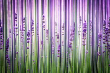 Wall Mural - abstract lavender vertical stripes.