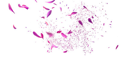 abstract pink petals explosion