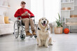 © New Africa - Service dog and boy in wheelchair at home, selective focus