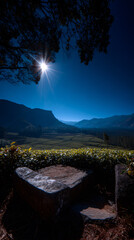 Wall Mural - elevated stone platform overlooking vibrant tea plantations under bright sunlight