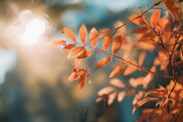 Poster - Golden Sunlight Filtering Through Delicate Orange Leaves in an Autumn Forest Generative AI