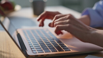 Wall Mural - Businesswoman hands typing laptop at office desk closeup. Smiling woman work 