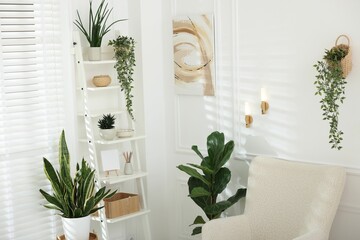 Poster - Different houseplants and decor on shelving unit near cozy chair indoors