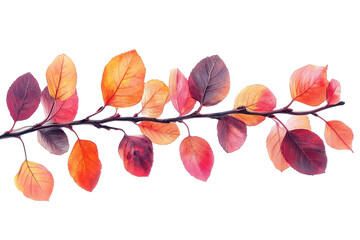 Poster - vibrant orange leaves of a tree branch ready for autumn harvest, showcasing nature's beauty in a tra