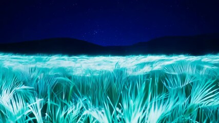 Wall Mural - Ethereal Wheat Field at Night Under Starry Sky, 4K.