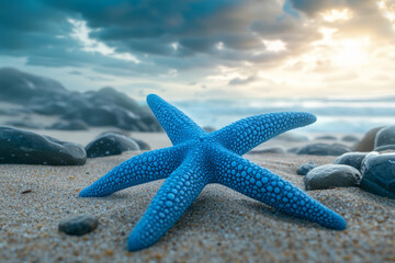 Wall Mural - blue starfish rests on sandy beach, surrounded by smooth rocks, under dramatic sky filled with clouds. scene evokes sense of tranquility and natural beauty