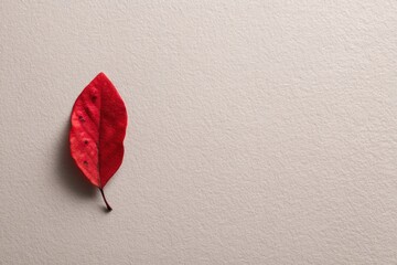 Leinwandbilder - Single Red Leaf Delicately Placed on Soft Beige Paper Background Showcasing Minimalist Beauty During Autumn Season Generative AI