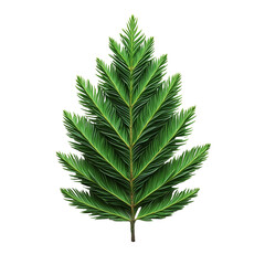 Fir tree branch evergreen foliage fresh green nature element design isolated on transparent  background png