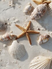Poster - Seashells and Starfish Scattered on Pale Beach Sand Create a Tranquil Coastal Scene With Natures Delicate Treasures Generative AI