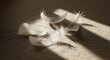 © Feb - White Feathers on Fabric