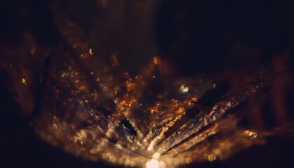 Leinwandbilder - glowing prism bokeh explosion with golden reflections and abstract light burst for web design, branding, or digital art background


