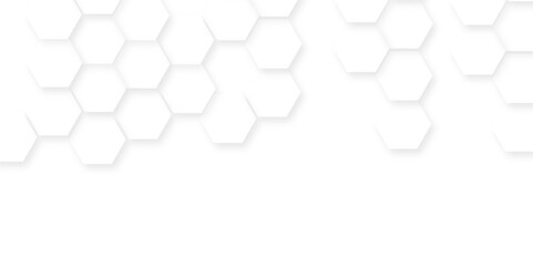Wall Mural - Abstract background with hexagon, modern abstract vector polygonal pattern. Futuristic honeycomb mosaic white background,white and gray hexagon honeycomb geometric copy space.	