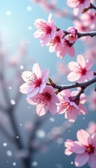 Wall Mural - delicate pink cherry blossoms dusted with snow, spring sky , contrast, stunning