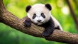 © wikkie - Adorable Panda Cub on a Branch