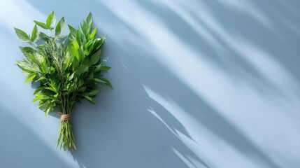 Aufkleber - A vibrant bundle of fresh herbs is arranged on a pale blue surface, casting soft shadows from one side, creating a calm and inviting atmosphere for culinary use