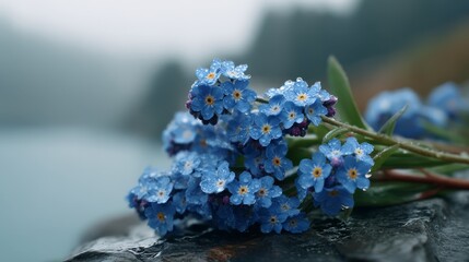 Aufkleber - Blue flowers glisten with morning dew atop a dark stone, creating a serene atmosphere in a cool-toned natural setting. Copy space enhances the composition