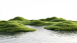 © Tichila - 3D rendering, green grass on the water surface of shallow lakes and small islands. isolated on white background.