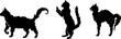 © KsanaGraphica - Cats silhouettes collection.