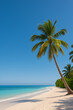 © Wlady Widia - Tropical Beach with Palm Tree and Clear Blue Sky