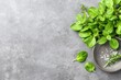 © sofia - Fresh herbs and salt on a gray surface
