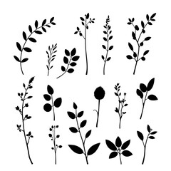 Set plant silhouette element.Branch leave collection.Herb nature black color isolated.