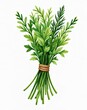 © lattesmile - Rustic bundle of fragrant, freshly picked herbs tied with natural twine, evoking a sense of homemade, artisanal cooking, watercolor illustration