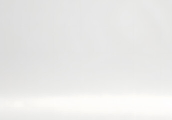 Wall Mural - soft white and light gray gradient studio background, ideal for product showcases, website banners, 