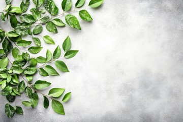 Leinwandbilder - Fresh green leaves on a textured background