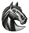 © Gasspoll - Detailed Vector Illustration of a Horse Head in Black and White Style