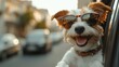 © Wantanee - Happy Dog in Sunglasses Enjoying Car Ride on a Sunny Day