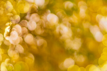 Wall Mural - abstract defocus orange-red background for blank artworks obtained by photographing on a bright sunn