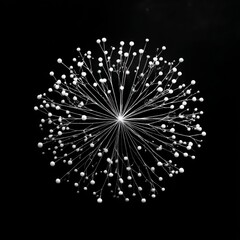 Aufkleber - Abstract Floral Arrangement: White Spheres and Delicate Branches on a Black Backdrop for Artistic Flair