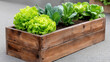 © MP-AI - Gardening tips for growing seasonal vegetable in wooden planter box with fresh green leaves thriving in rich soil