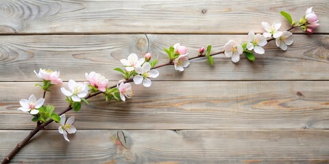 Poster - Delicate Spring Blossoms Arranged on Rustic Wooden Surface